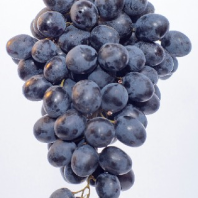 Grape